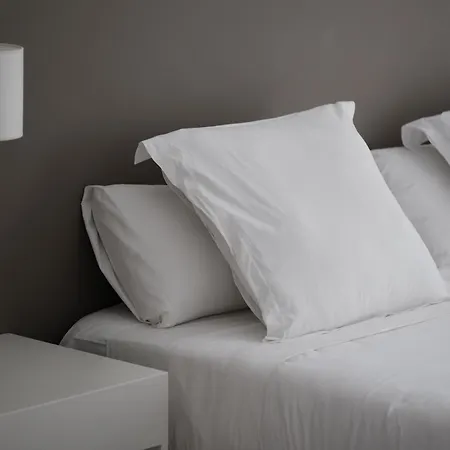 شقة فندقية Prinsotel Alba & 4*